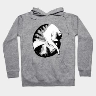 Night night sleeping beauty cat Hoodie